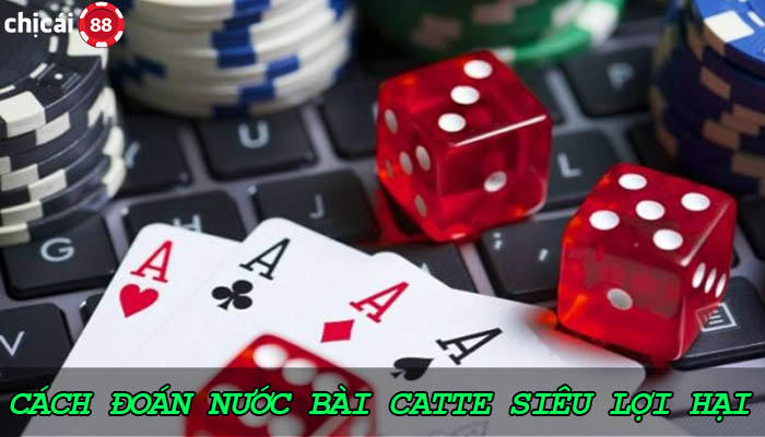 dự đoán nước catte