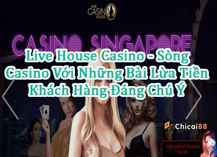 live house casino bị bắt